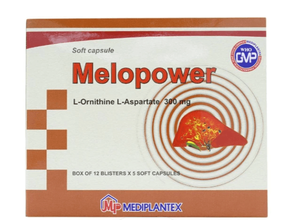 MELOPOWER 300MG Viên nang mềm điều trị bệnh gan